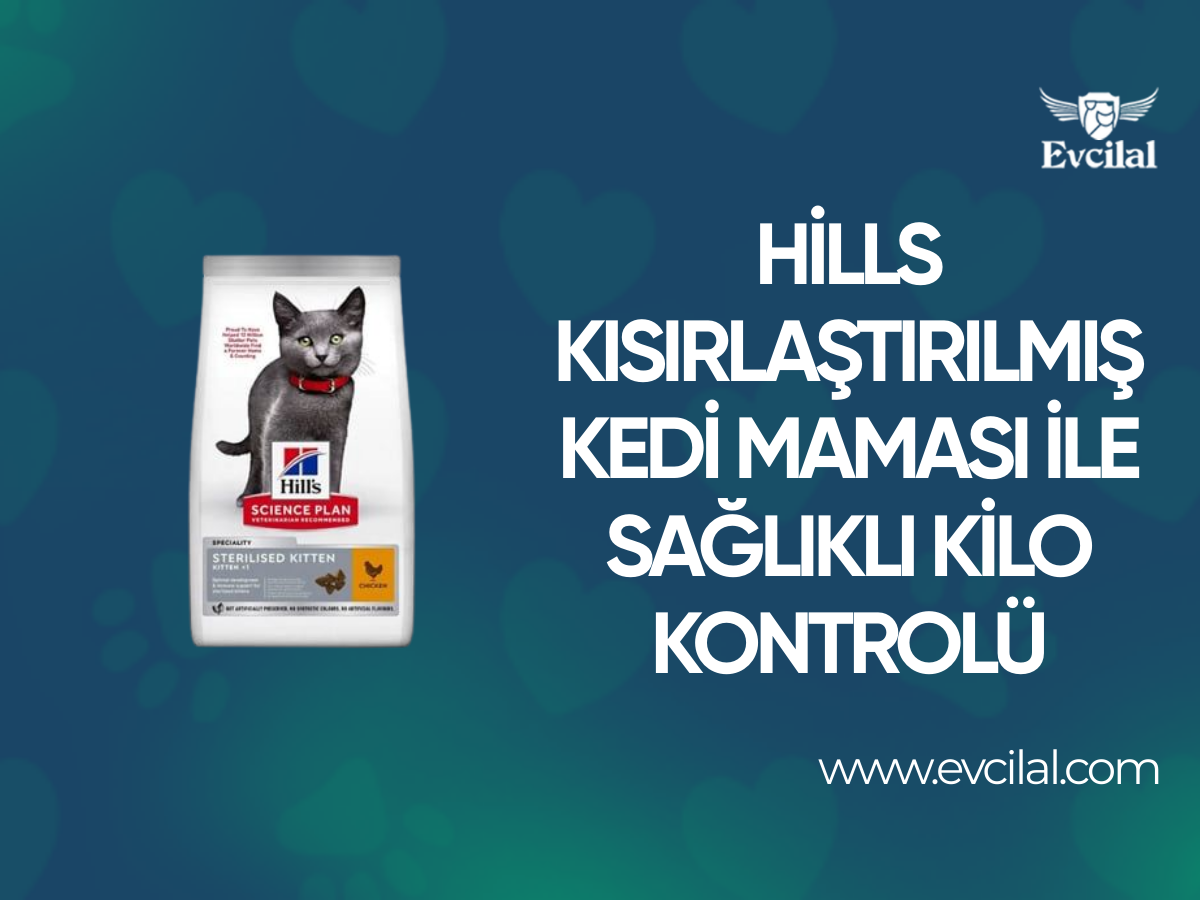 Hills Kısırlaştırılmış Kedi Maması İle Kedinizin Sağlıklı Kilosunu Koruyabilirsiniz