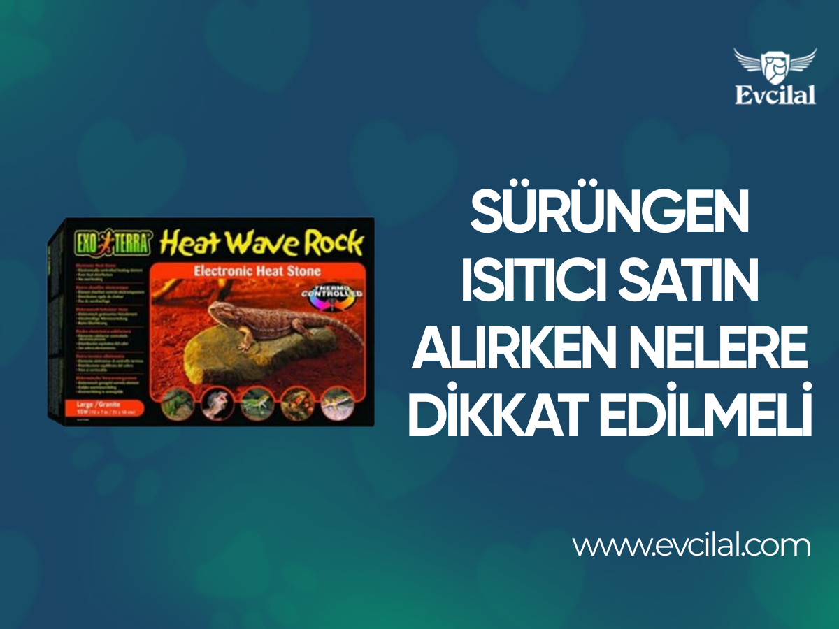 Sürüngen Isıtıcı Satın Alırken Nelere Dikkat Edilmeli