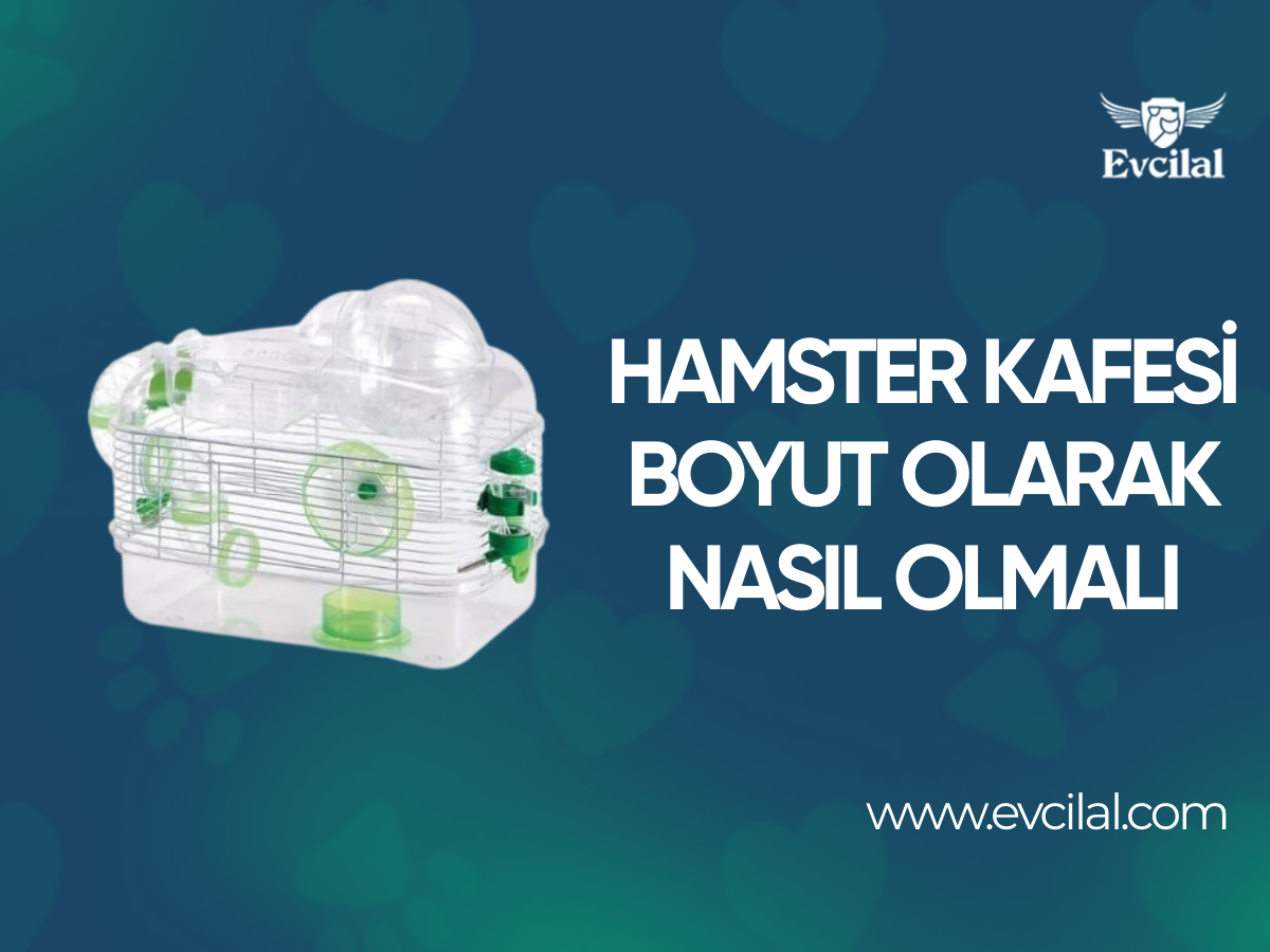 Hamster Kafesi Boyut Olarak Nasıl Olmalı