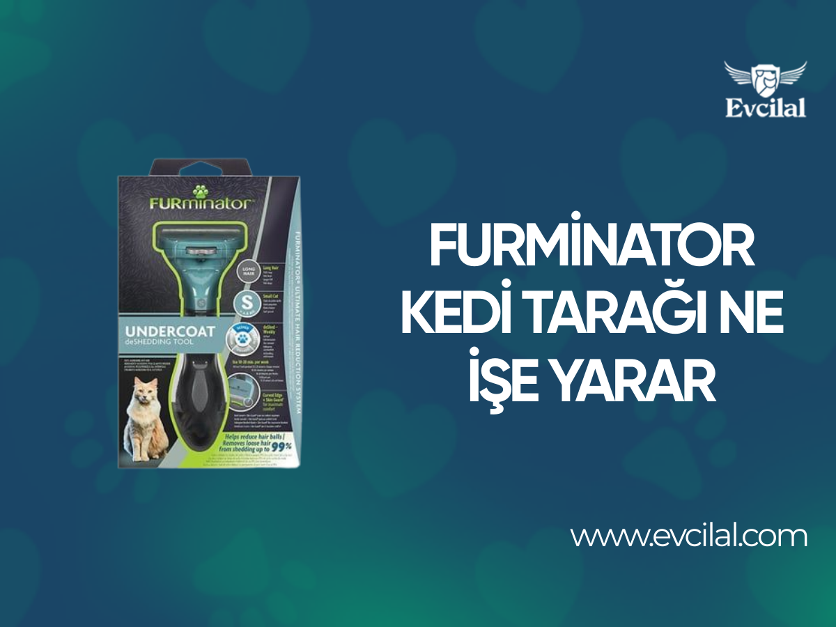 Furminator Kedi Tarağı Ne İşe Yarar