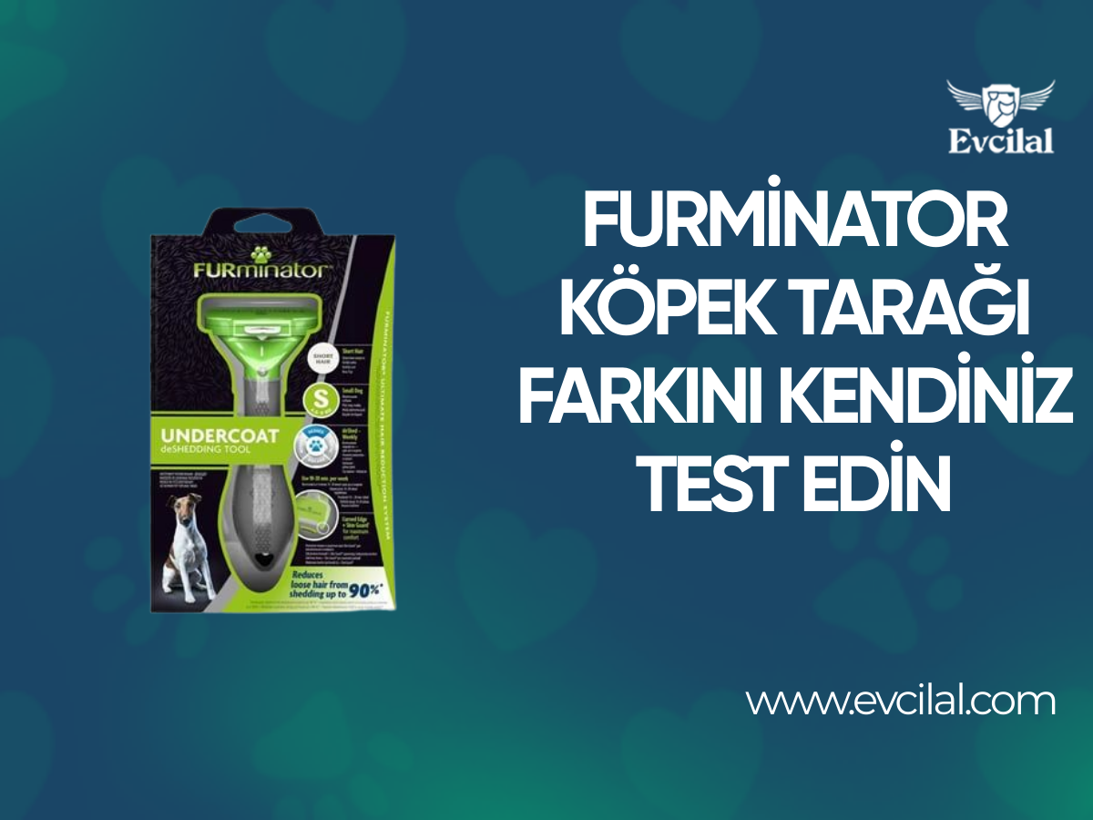 Furminator Köpek Tarağı Farkını Kendiniz Test Edin