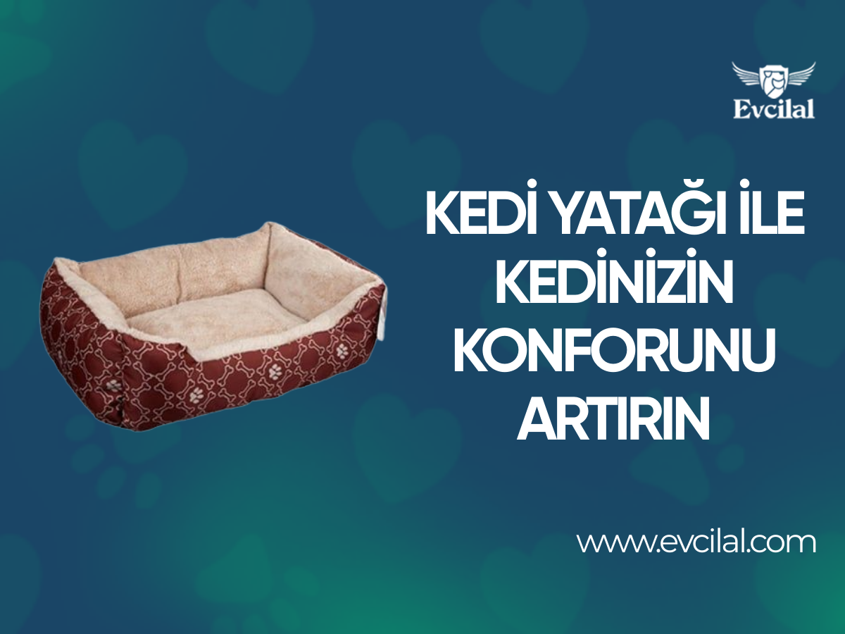 Kedi Yatağı Sayesinde Kedinizin Konforunu Arttırabilirsiniz