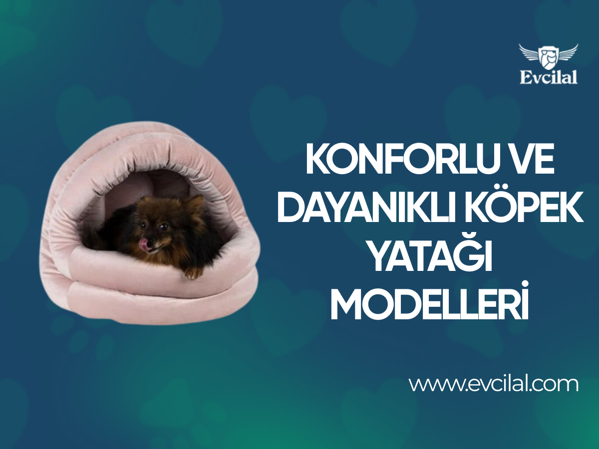Konforun Ve Dayanıklılığın Birarada Olduğu Köpek Yatağı Modelleri Hangileri