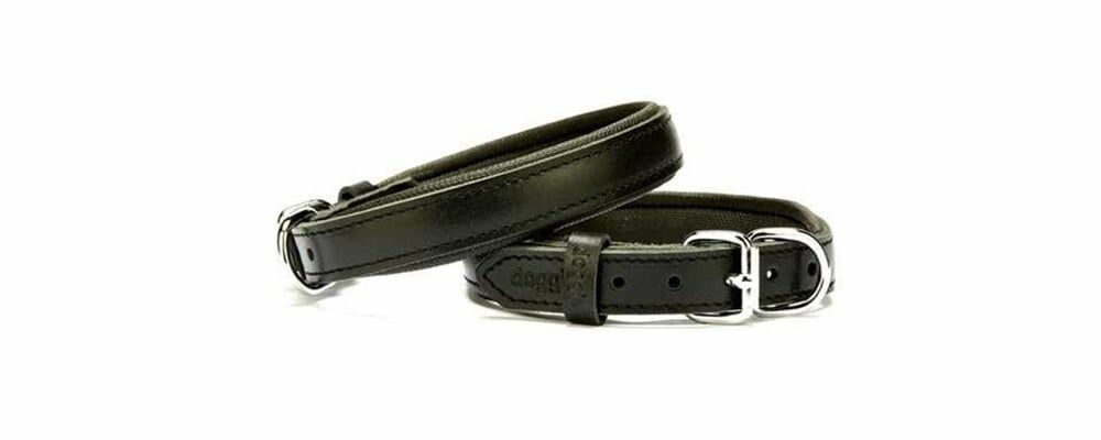 Köpek Boyun Tasması Satın Alırken Nelere Dikkat Edilmeli