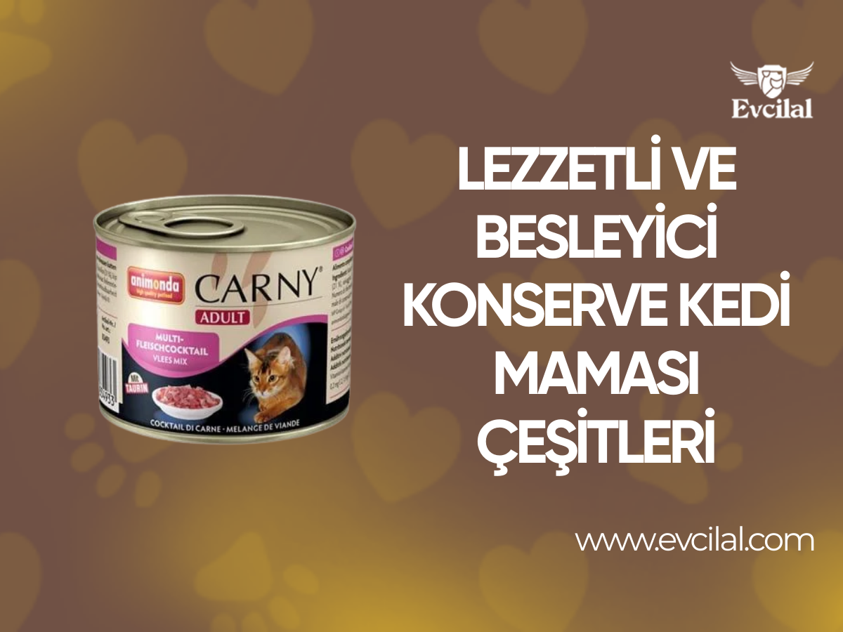 Lezzetli Ve Besleyici Olan Konserve Kedi Maması Çeşitleri Hangileri