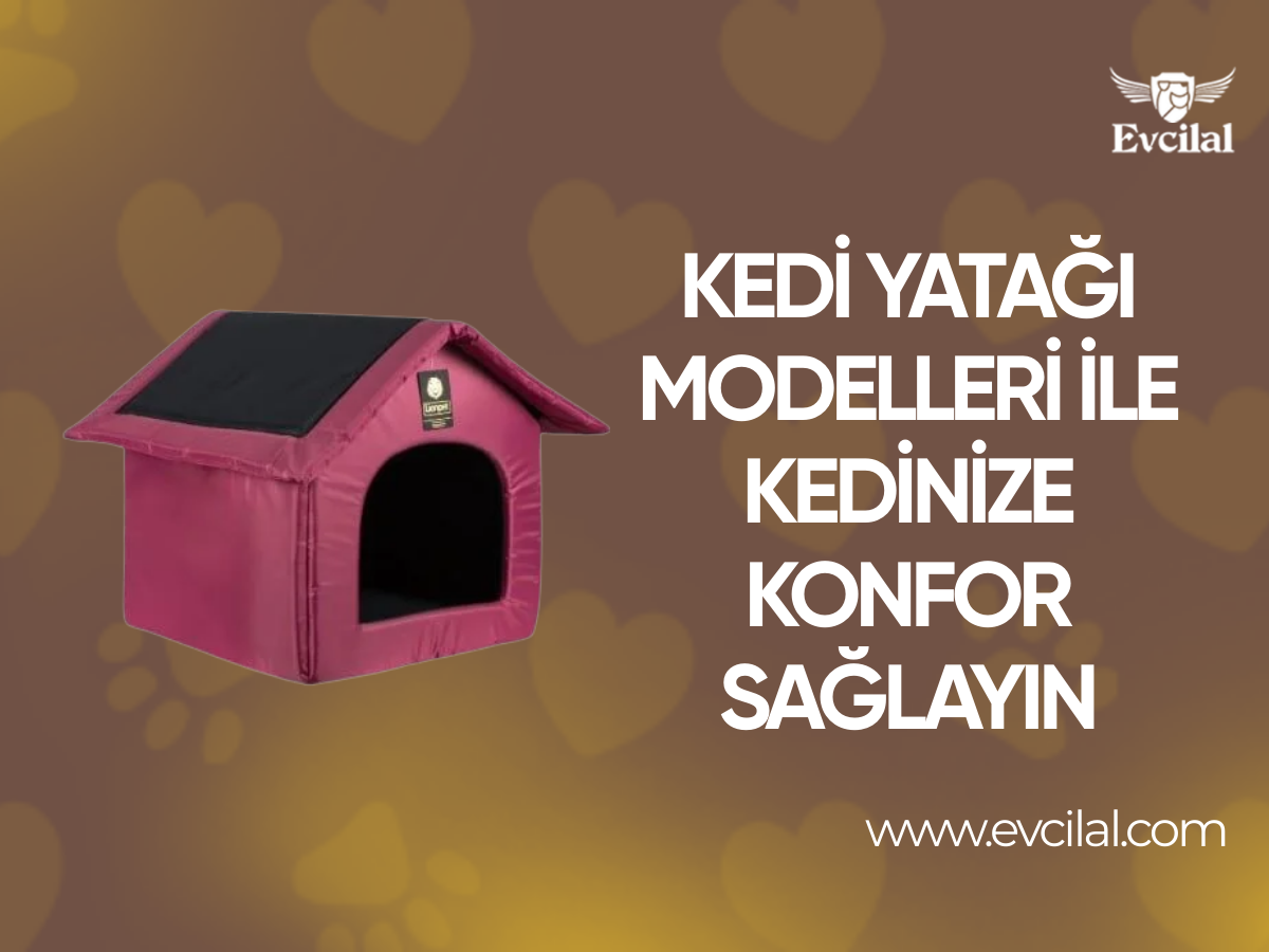 Kedi Yatağı Modelleri İle Kedinize Konfor Sağlayın