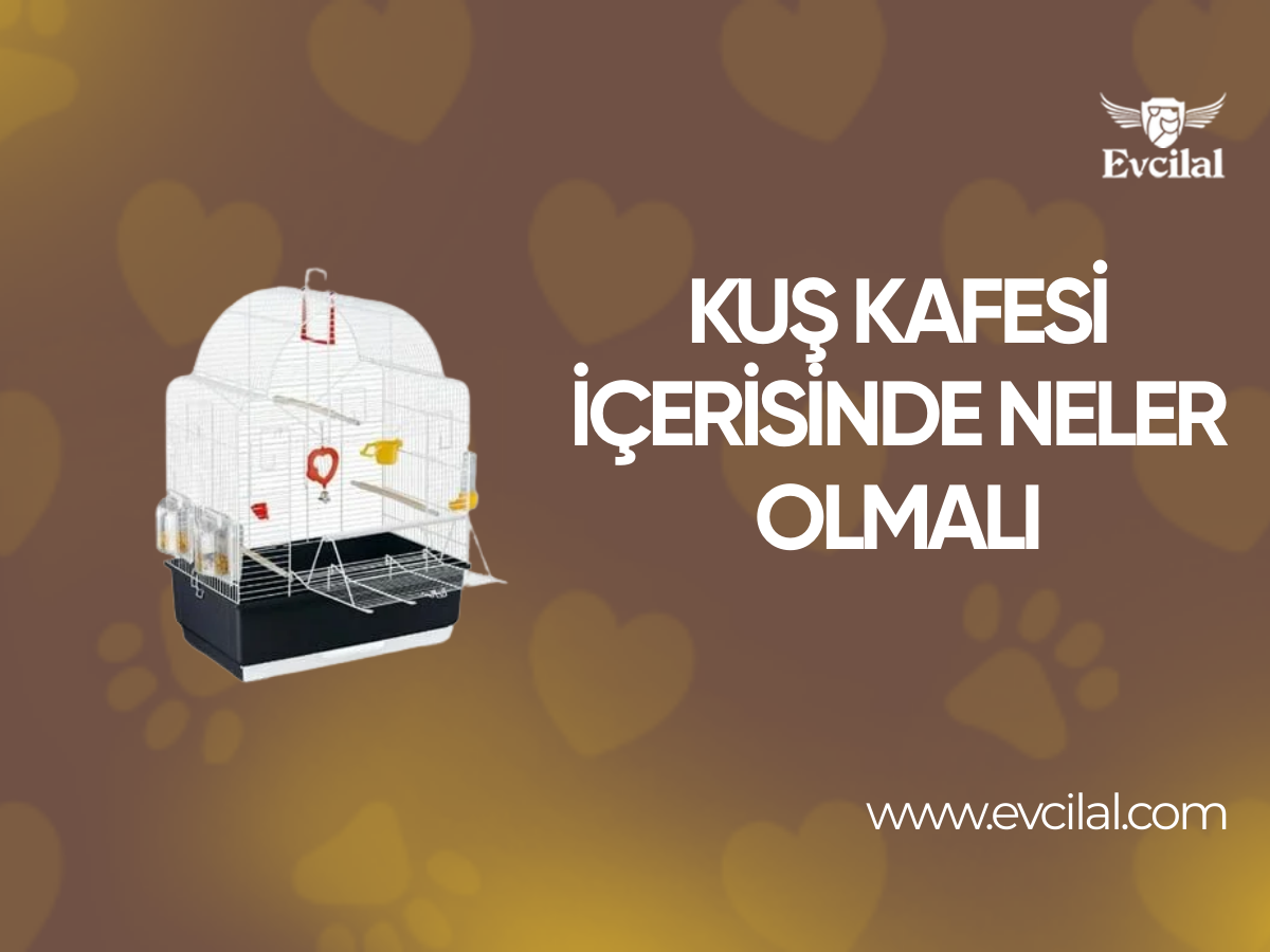 Kuş Kafesi İçerisinde Neler Olmalı