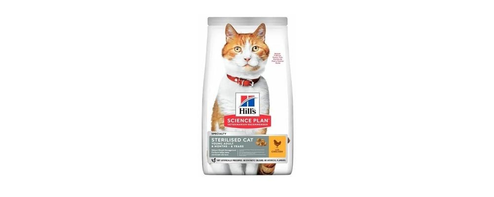 Kısır Kedi Maması Hangi Kedilere Verilmeli
