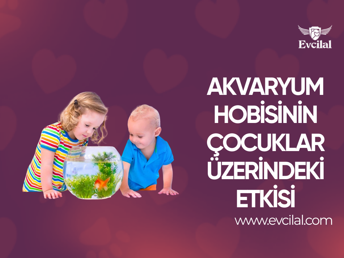 Akvaryum Hobisinin Çocuklar Üzerindeki Etkisi