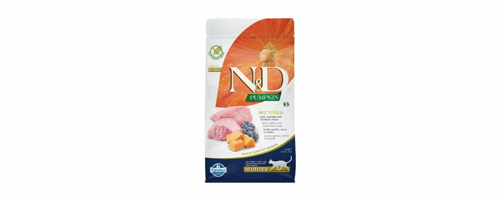 Kedinize Günlük Ne Kadar Kedi Maması Vermelisiniz