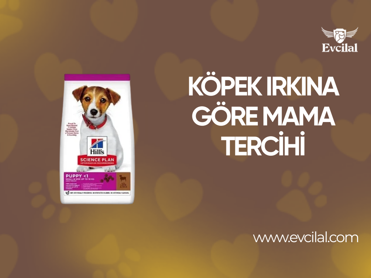 Köpeğinizin Irkına Göre Hangi Köpek Maması Tercih Etmelisiniz