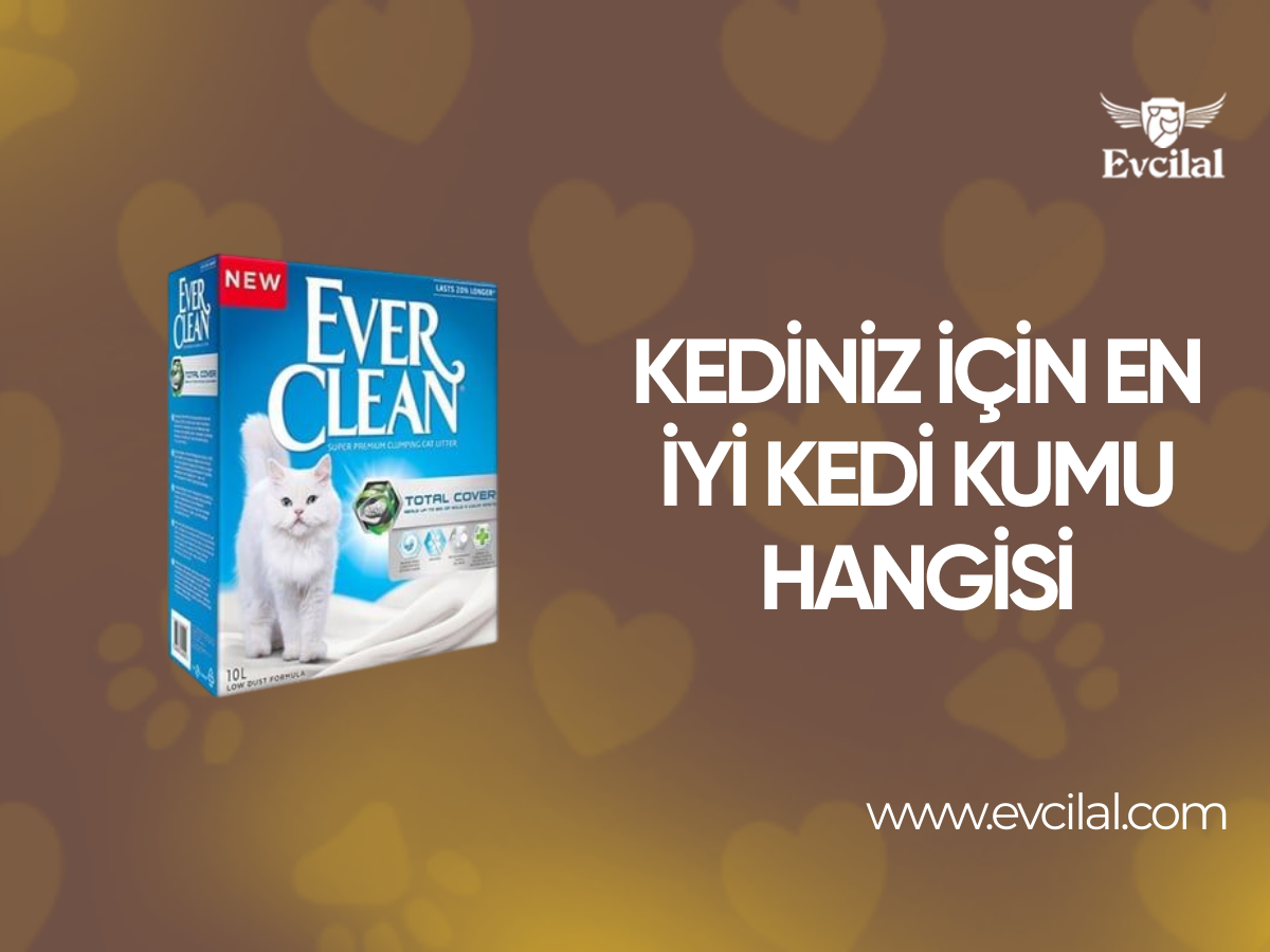 Kediniz İçin En İyi Kedi Kumu Hangisi