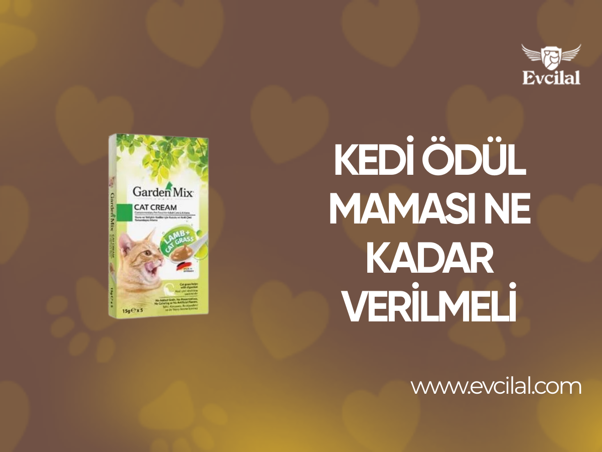 Kedi Ödül Maması Ne Kadar Verilmeli