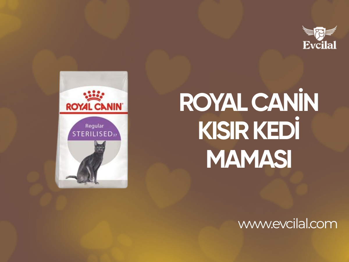 Royal Canin Kısır Kedi Maması