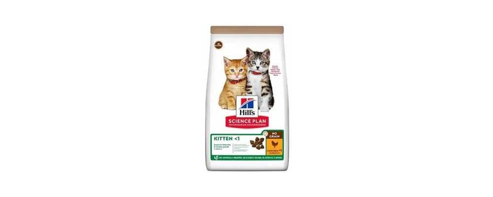 Yavru Kedi Maması Kaç Yaşına Kadar Verilir