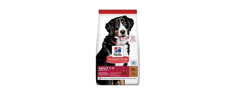 Kuru Köpek Mama Seçerken Dikkat Edilmesi Gerekenler Neler