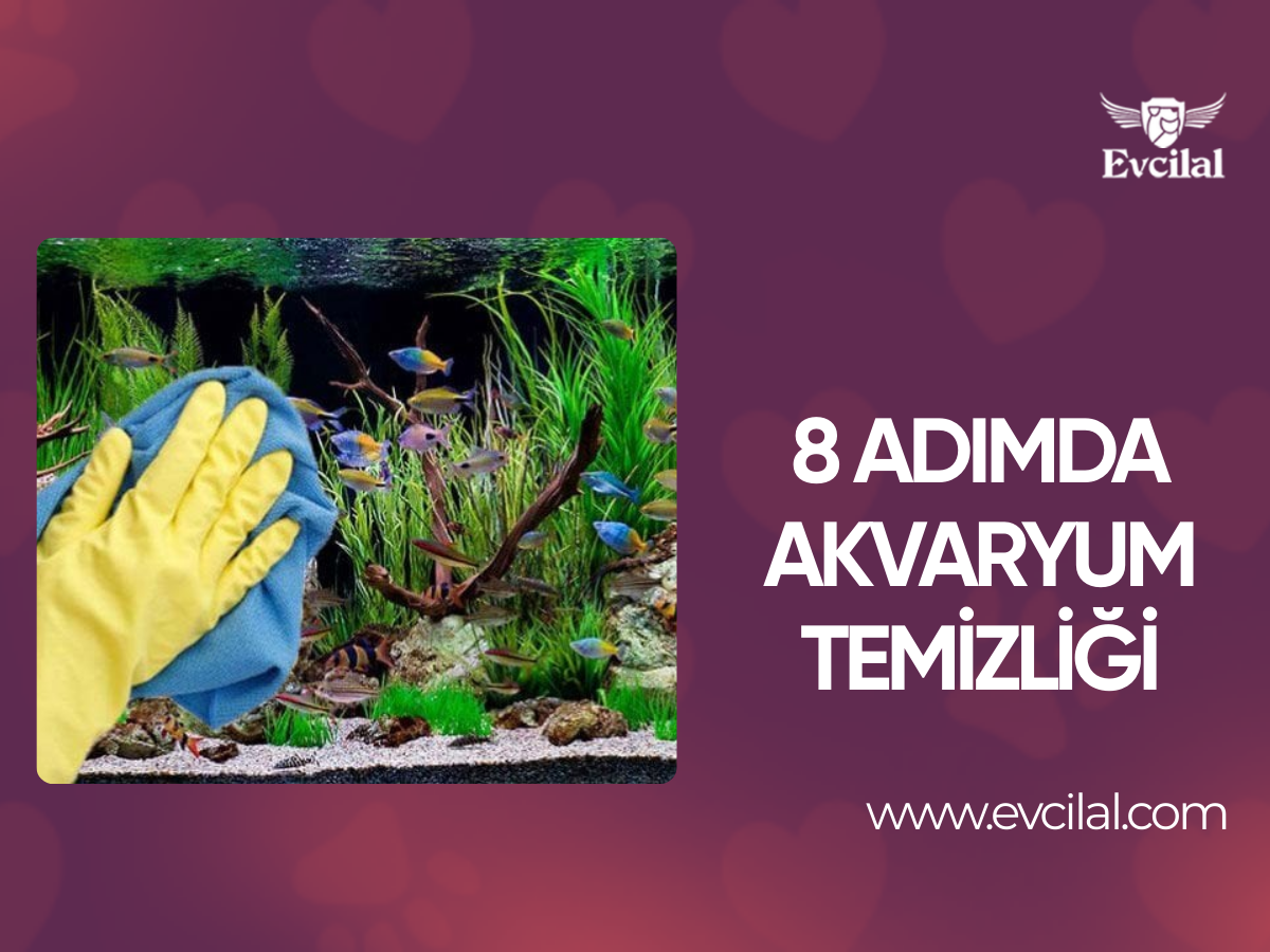 8 Adımda Akvaryum Temizliği