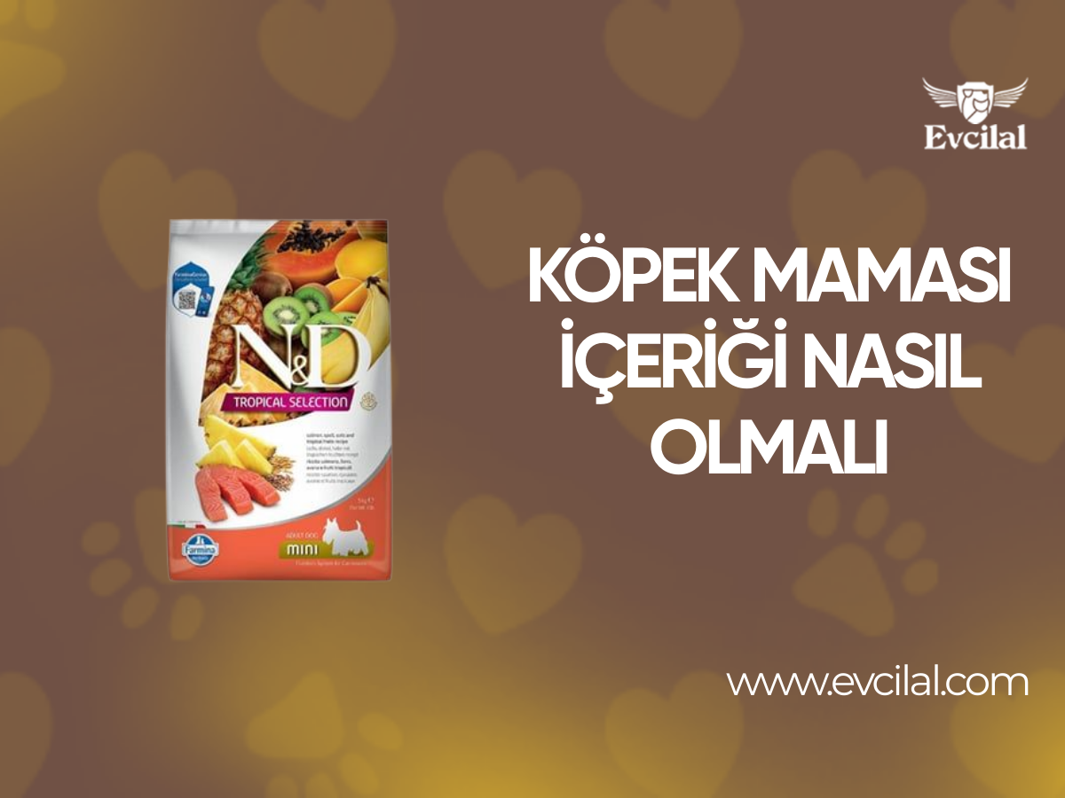 Köpek Maması İçeriği Nasıl Olmalı