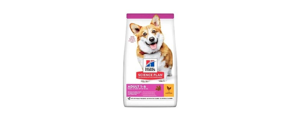Köpek Maması Nasıl Saklanmalı