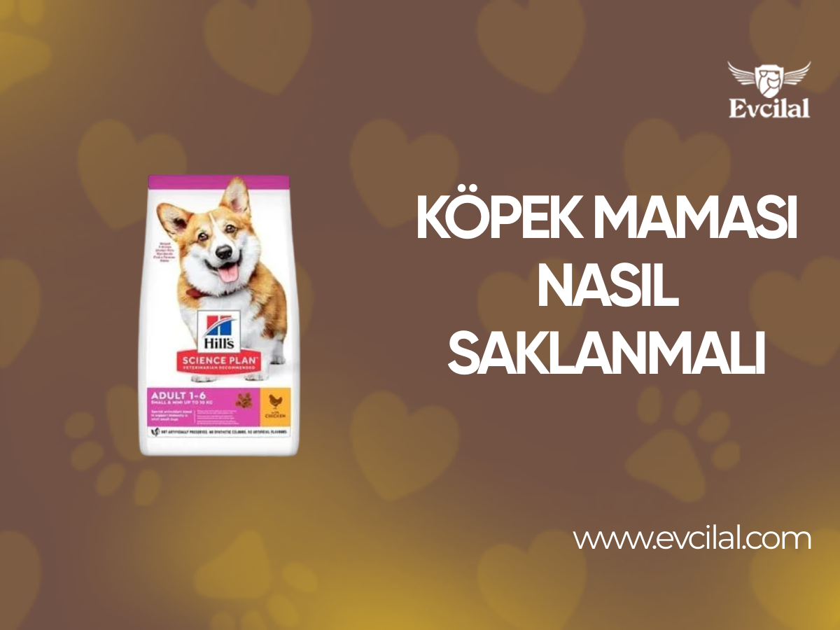 Köpek Maması Nasıl Saklanmalı