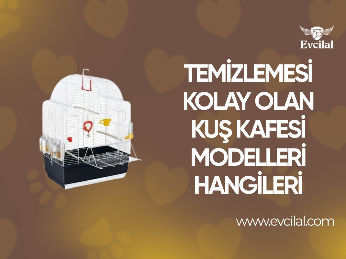 Temizlemesi Kolay Olan Kuş Kafesi Modelleri Hangileri?