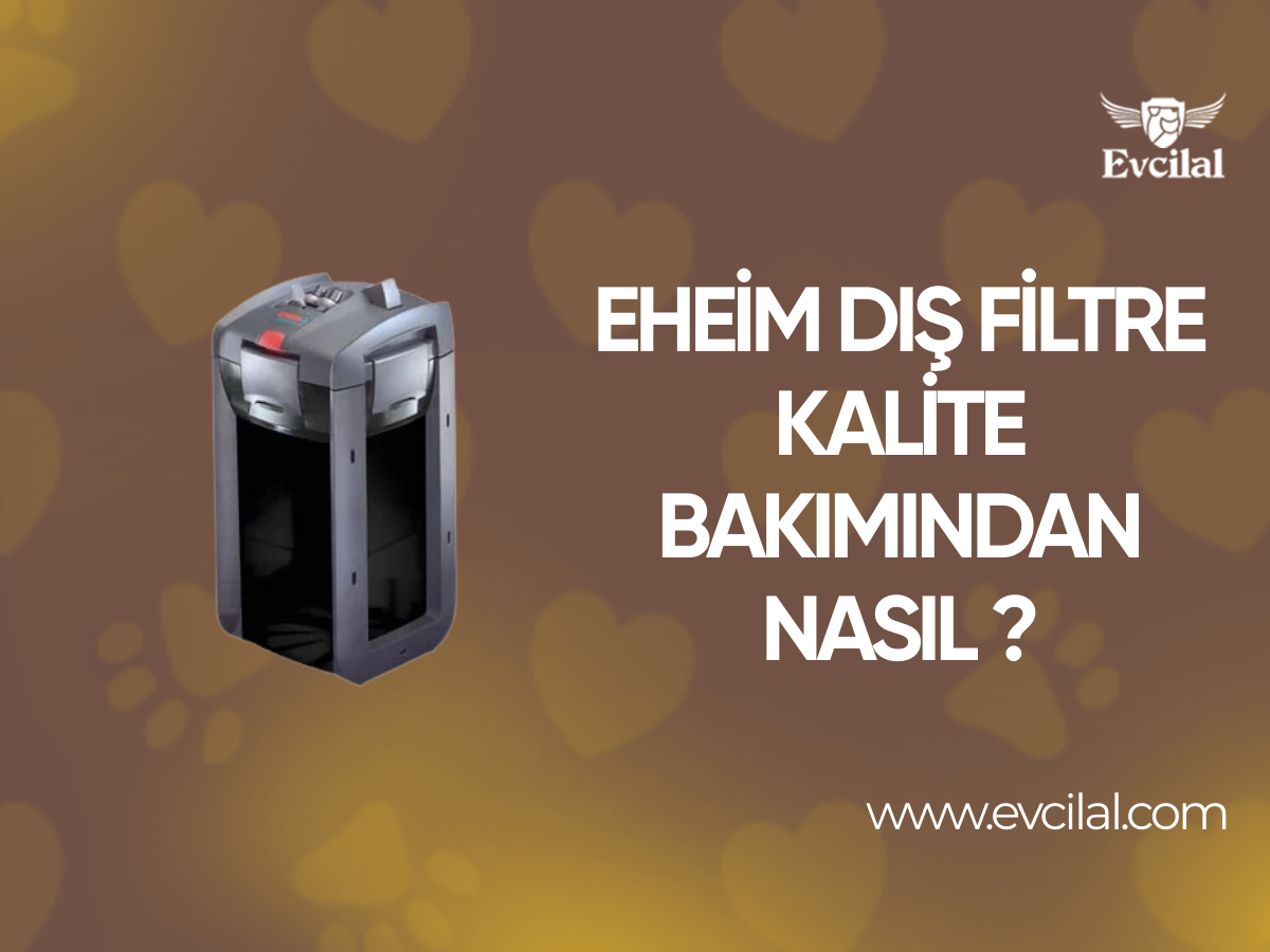 Eheim Dış Filtre Kalite Bakımından Nasıl