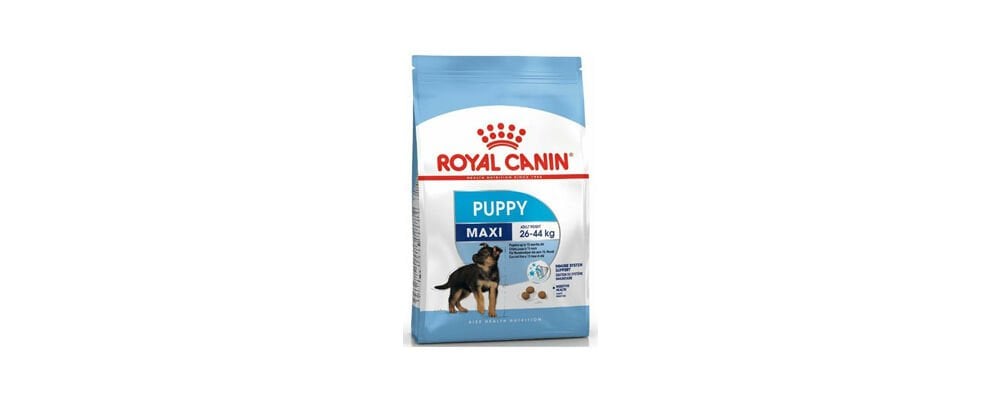 Köpek Maması Satın Alırken Hangi Konulara Dikkat Edilmeli