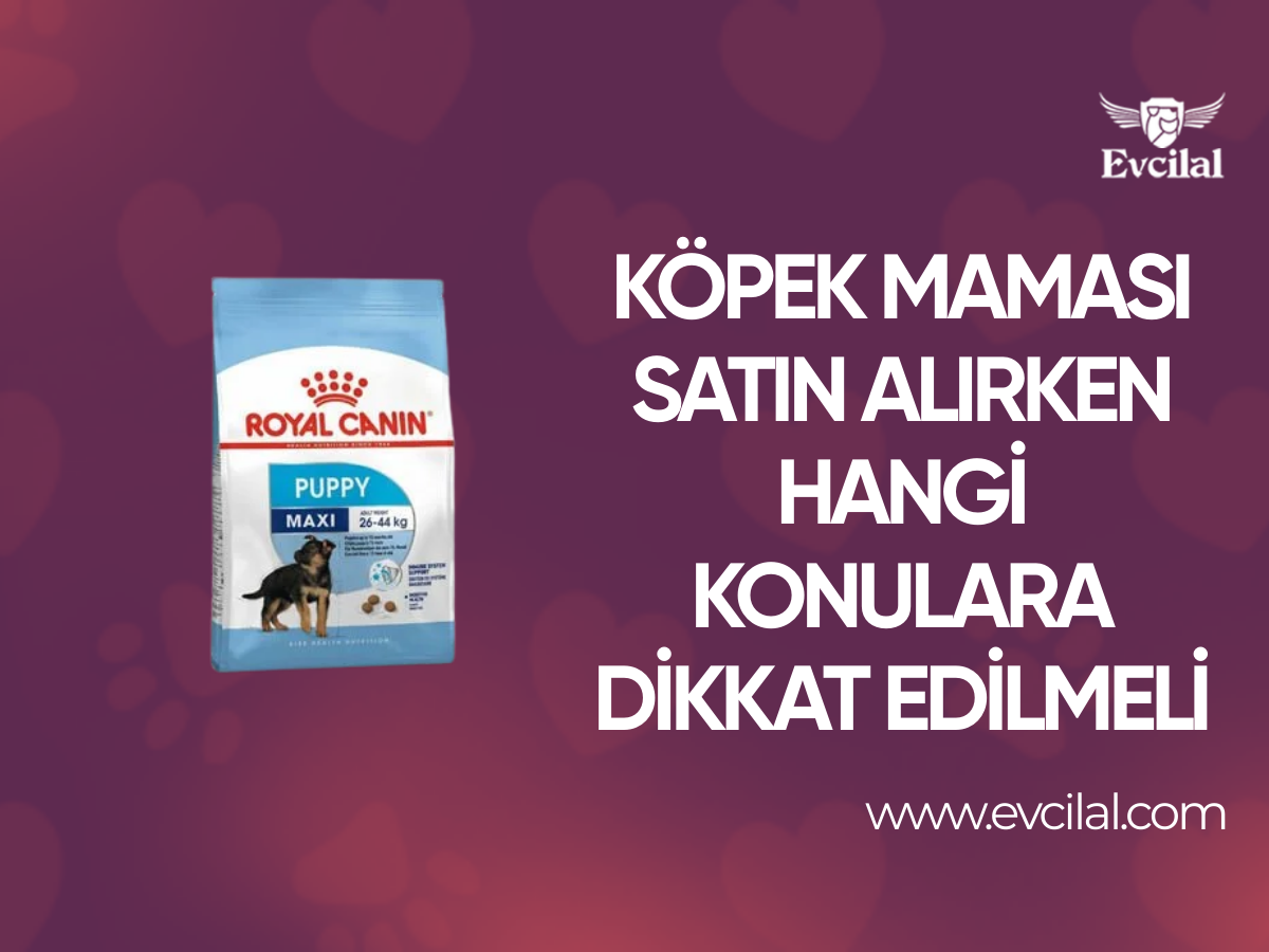 Köpek Maması Satın Alırken Hangi Konulara Dikkat Edilmeli