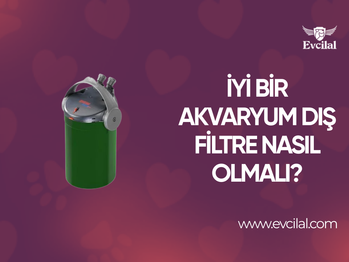 İyi Bir Akvaryum Dış Filtre Nasıl Olmalı?