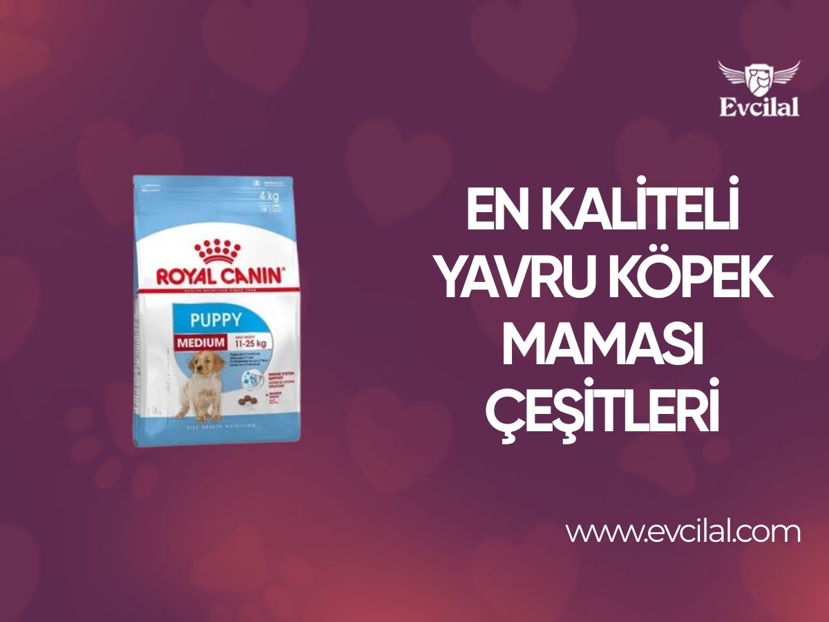 En Kaliteli Yavru Köpek Maması Çeşitleri