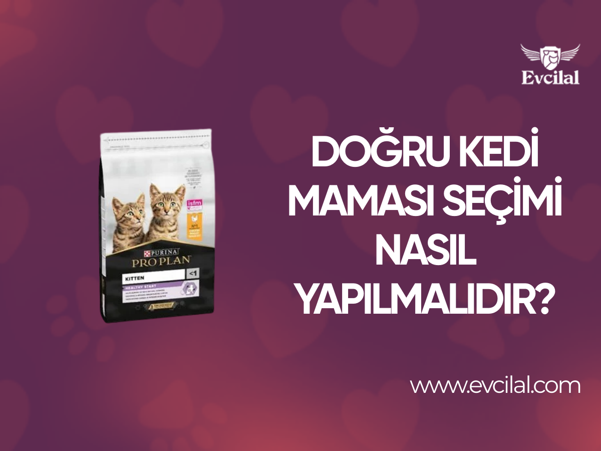 Doğru Kedi Maması Seçimi Nasıl Yapılmalıdır?