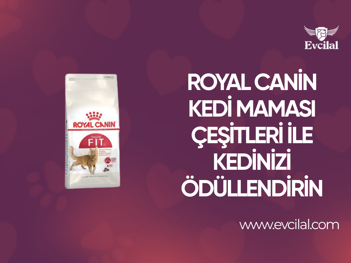 Dünya Çapında Bilinen Royal Canin Kedi Maması Çeşitleri İle Kedinizi Ödüllendirin