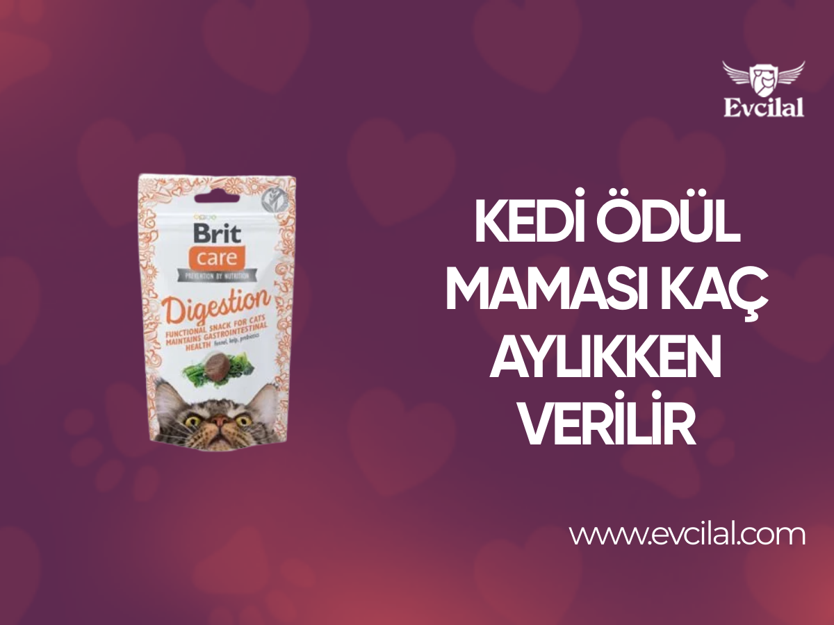 Kedi Ödül Maması Kaç Aylıkken Verilir