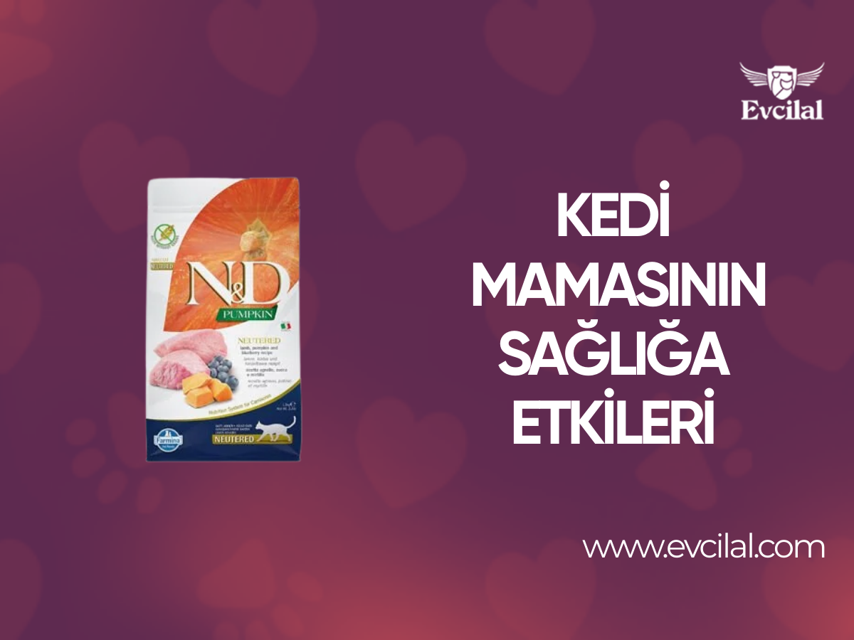 Kedi Mamasının Kedinizin Sağlığı Üzerindeki Etkileri Neler