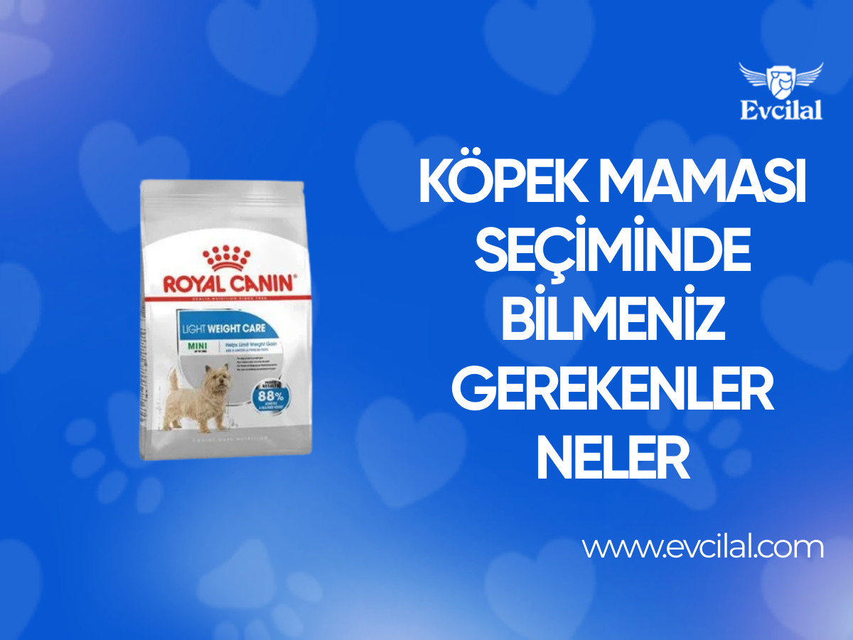 Köpek Maması Seçiminde Bilmeniz Gerekenler Neler