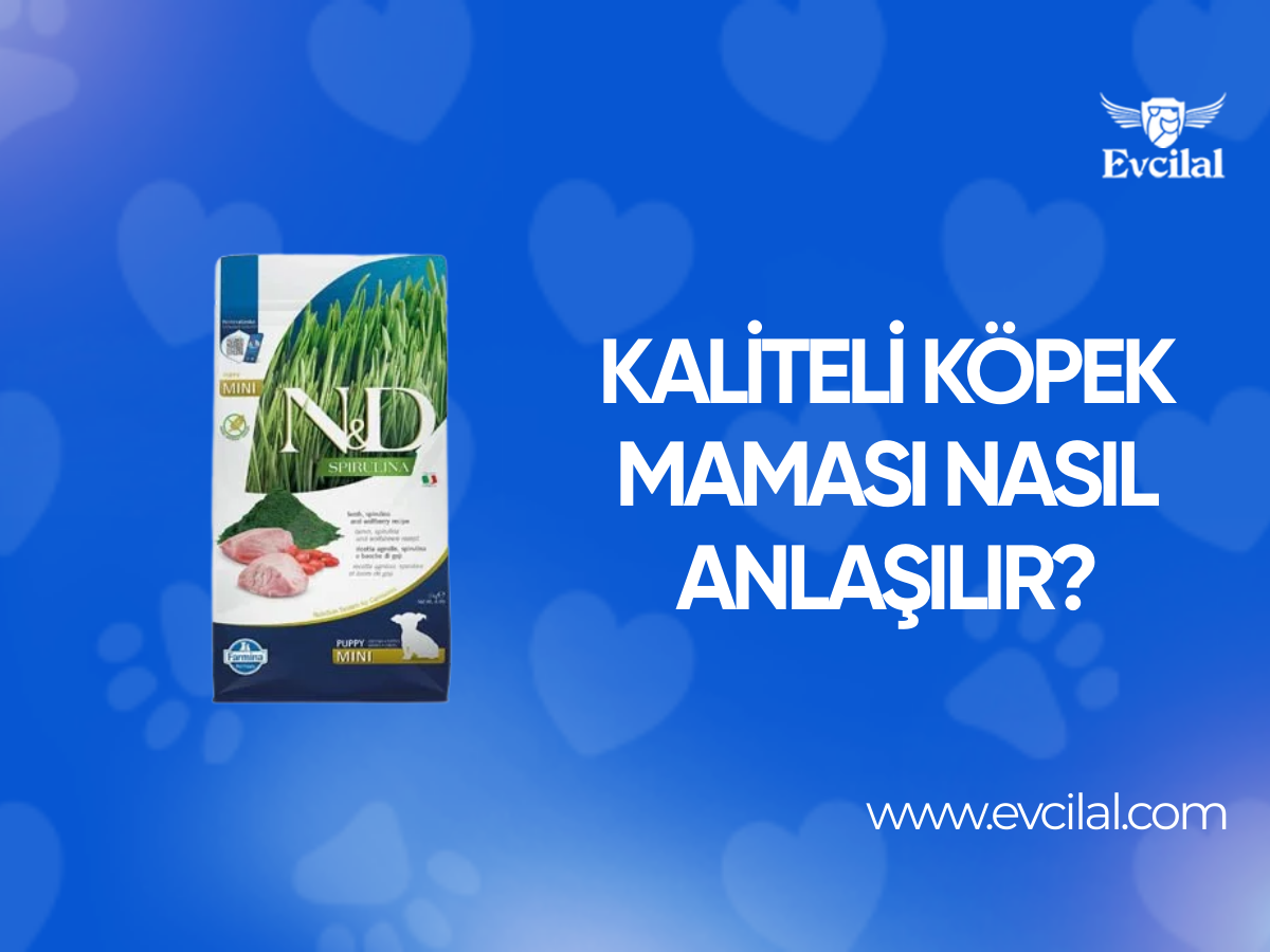 Kaliteli Köpek Maması Nasıl Anlaşılır?