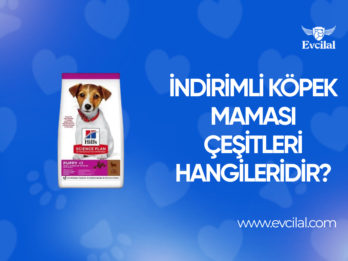İndirimli Köpek Maması Çeşitleri Hangileridir?
