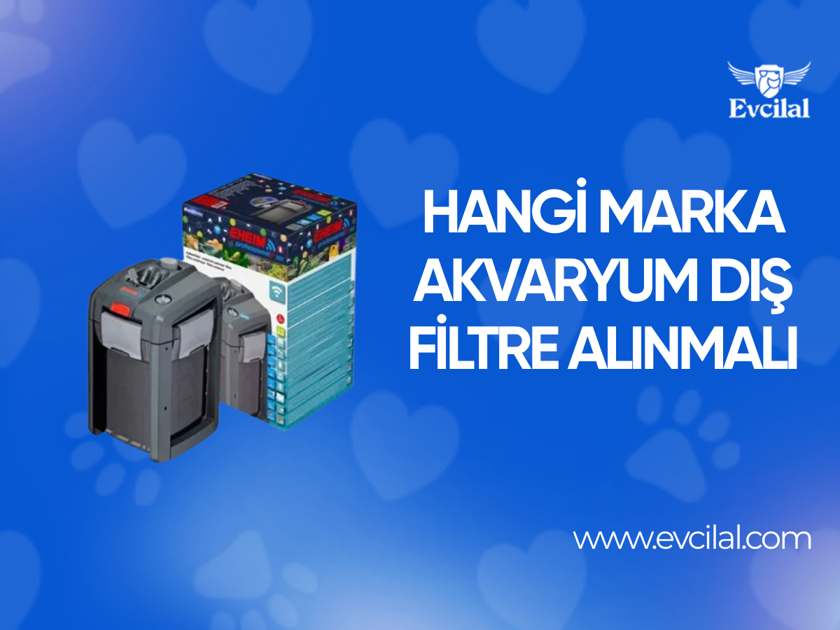 Hangi Marka Akvaryum Dış Filtre Alınmalı