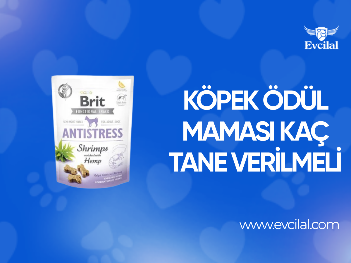 Köpek Ödül Maması Kaç Tane Verilmeli