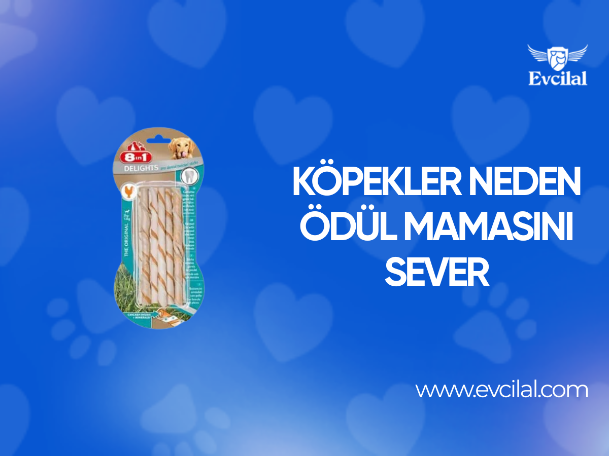 Köpekler Neden Ödül Mamasını Sever