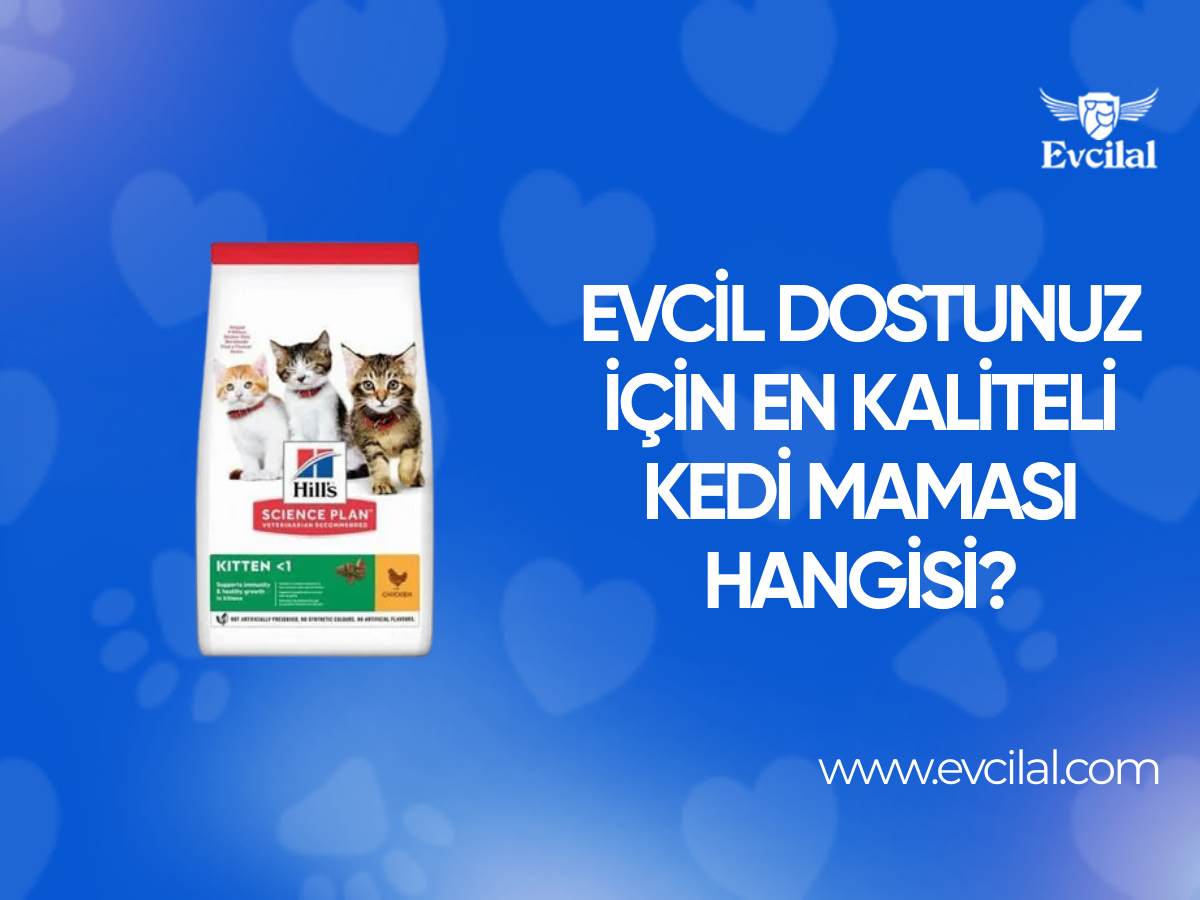 Evcil Dostunuz İçin En Kaliteli Kedi Maması Hangisi?