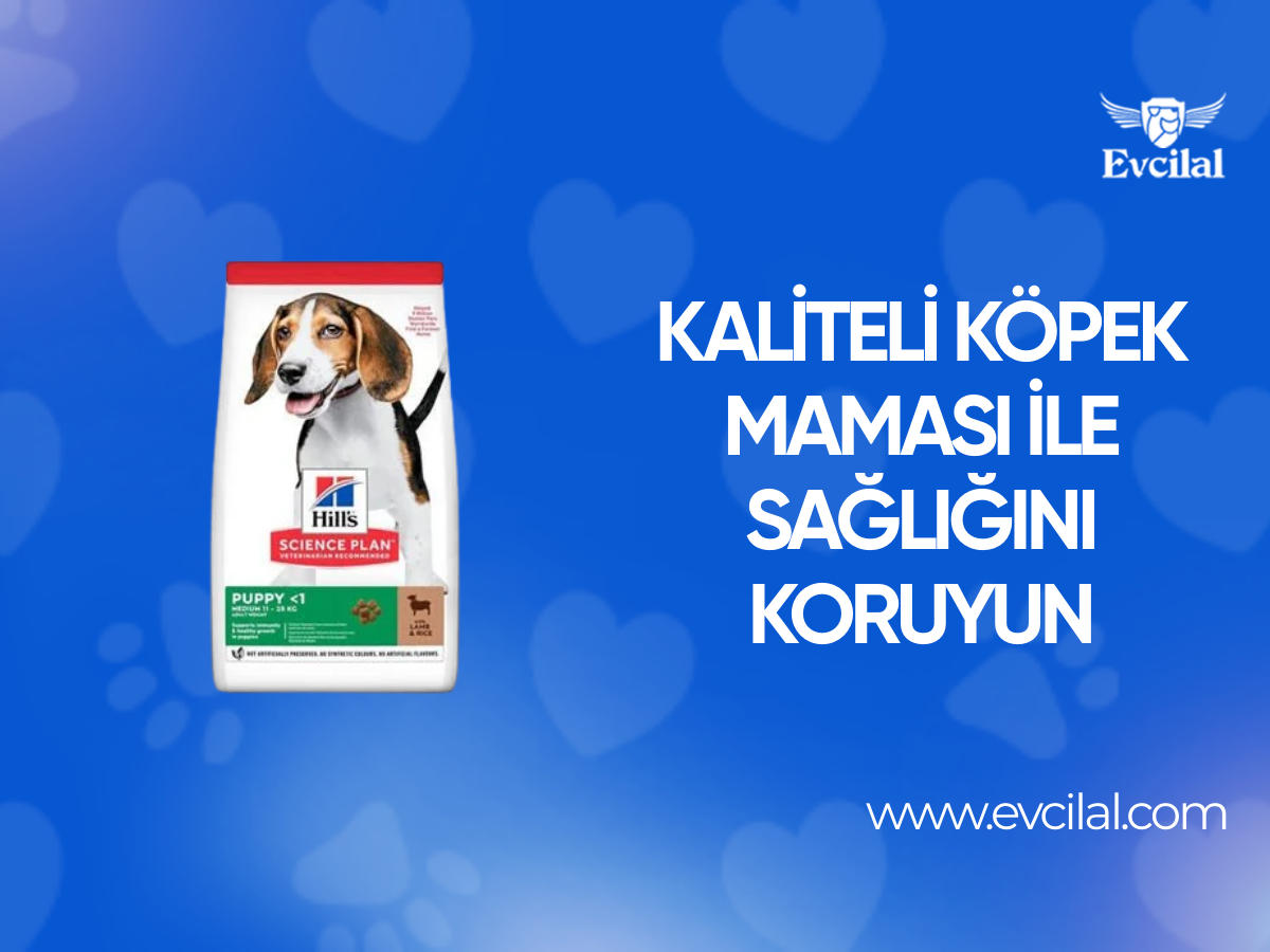 Kaliteli Köpek Maması Çeşitleri ile Köpeğinizin Sağlığını Koruyun