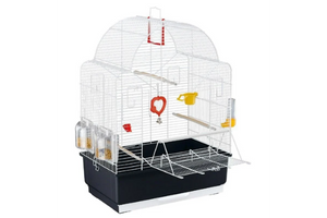 Muhabbet Kuşu İçin En Uygun Kafes Nasıl Seçilir?