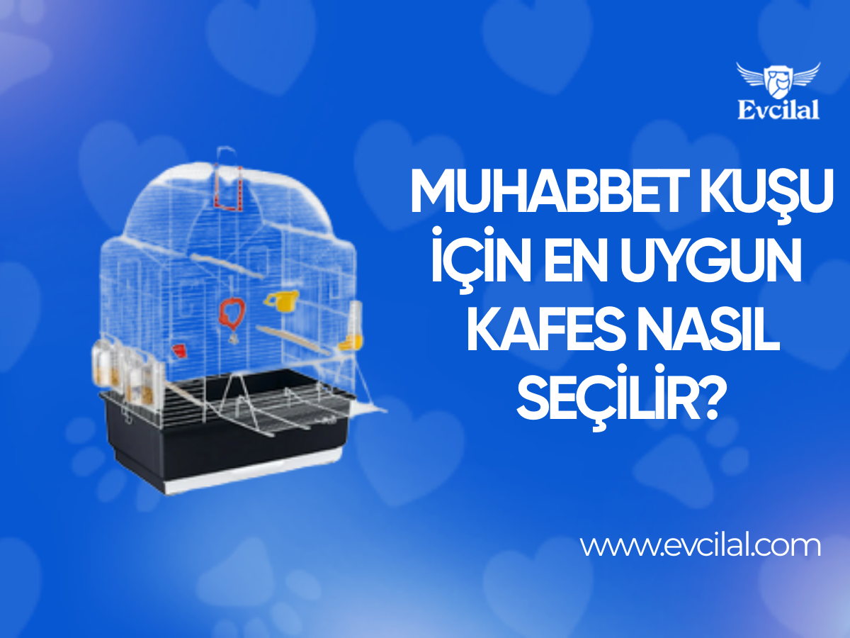 Muhabbet Kuşu İçin En Uygun Kafes Nasıl Seçilir?