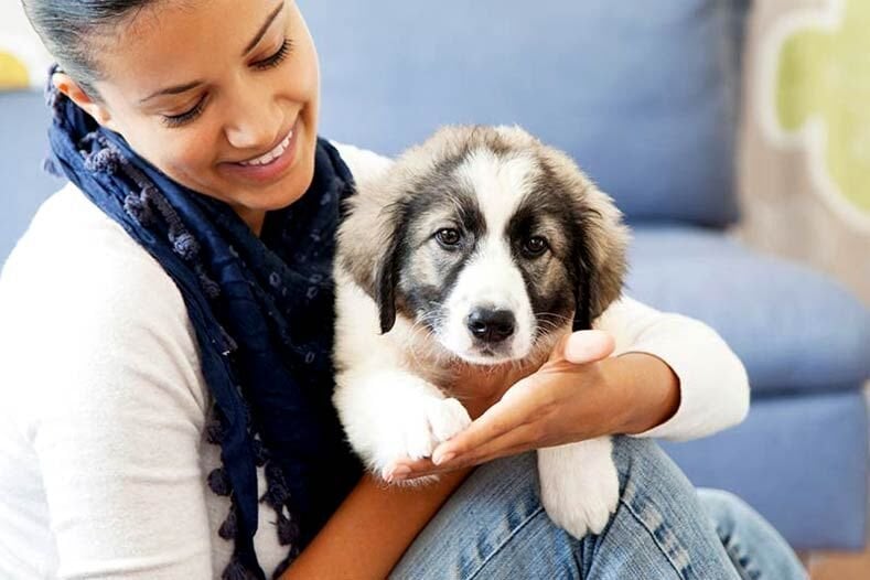 Irka Göre Köpek İsimleri