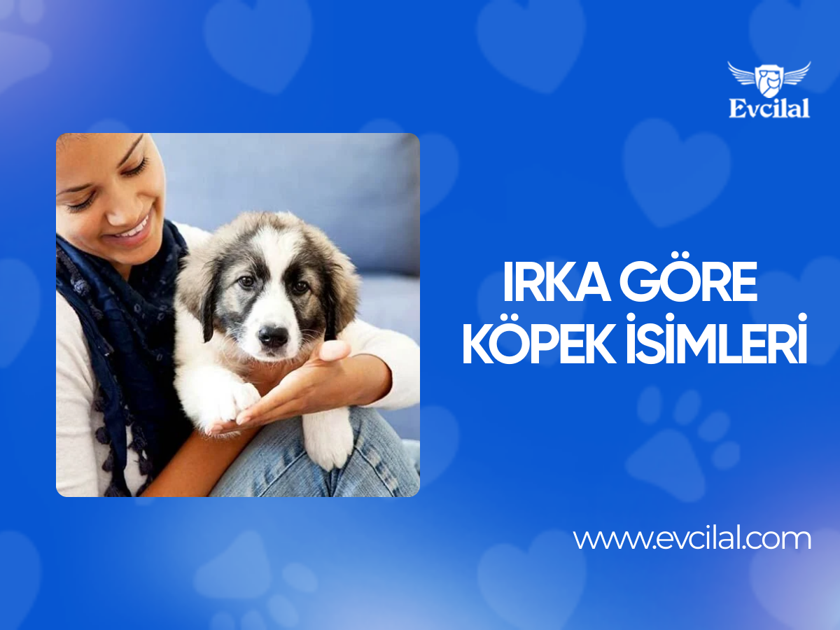 Irka Göre Köpek İsimleri