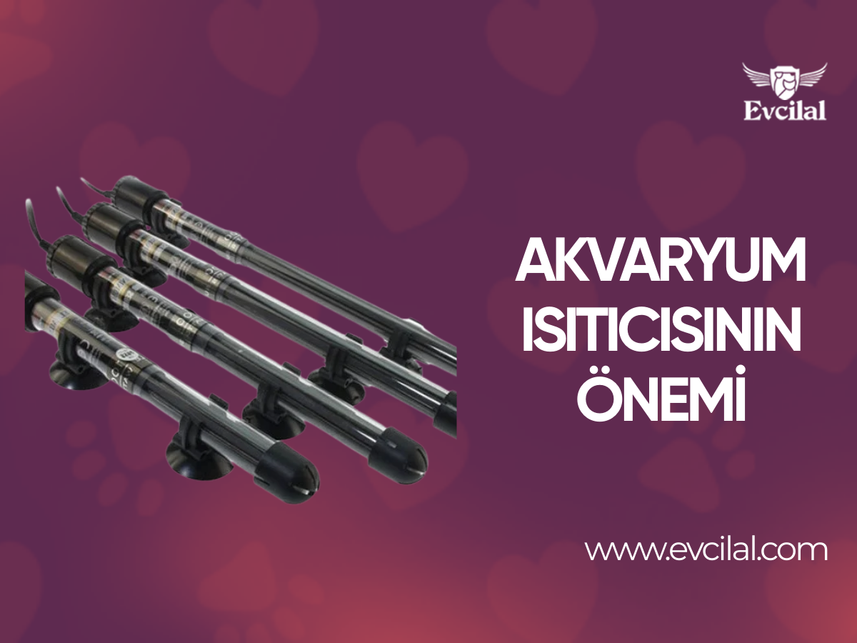 Akvaryum Isıtıcısının Önemi