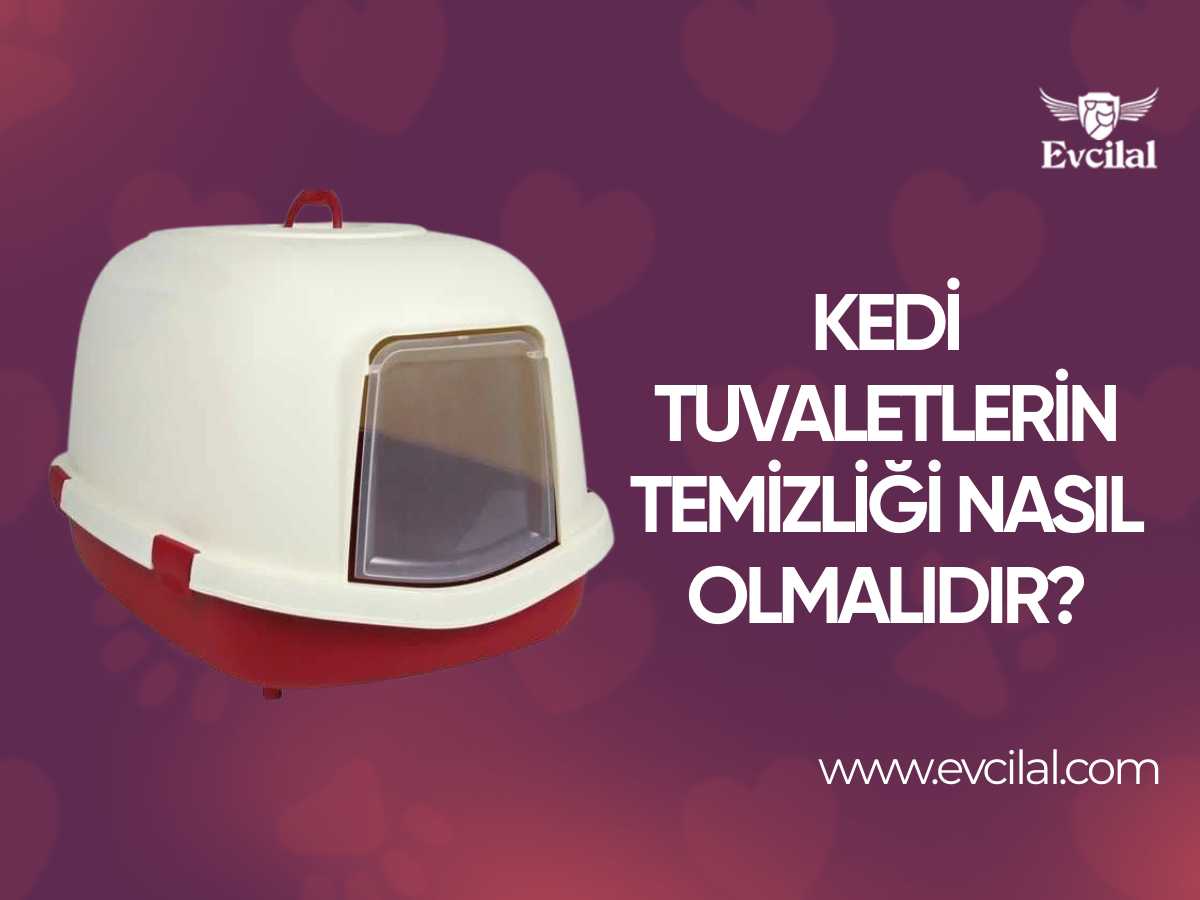 Kedi Tuvaletlerin Temizliği Nasıl Olmalıdır?