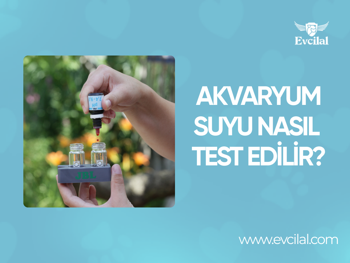 Akvaryum Suyu Nasıl Test Edilir?