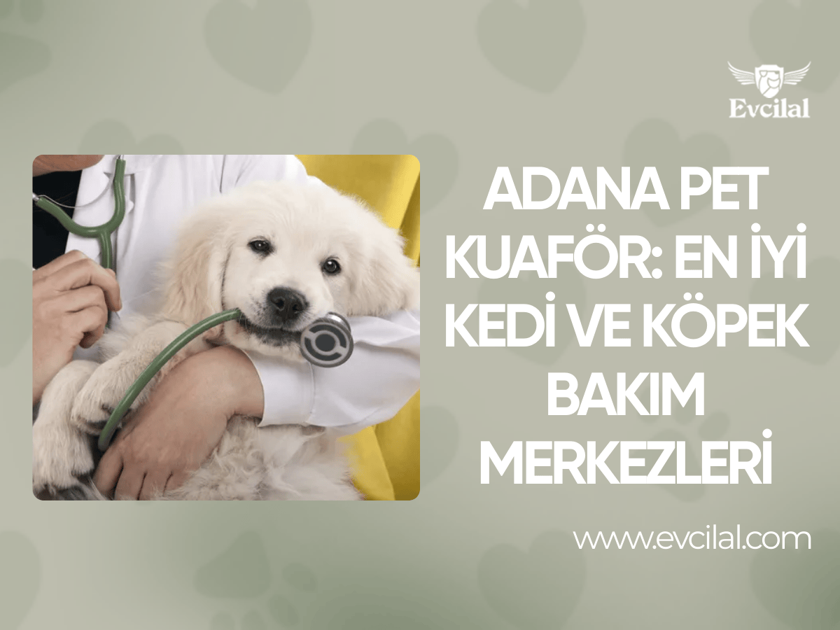 Adana Pet Kuaför: En İyi Kedi ve Köpek Bakım Merkezleri